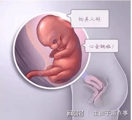 张明华 院长